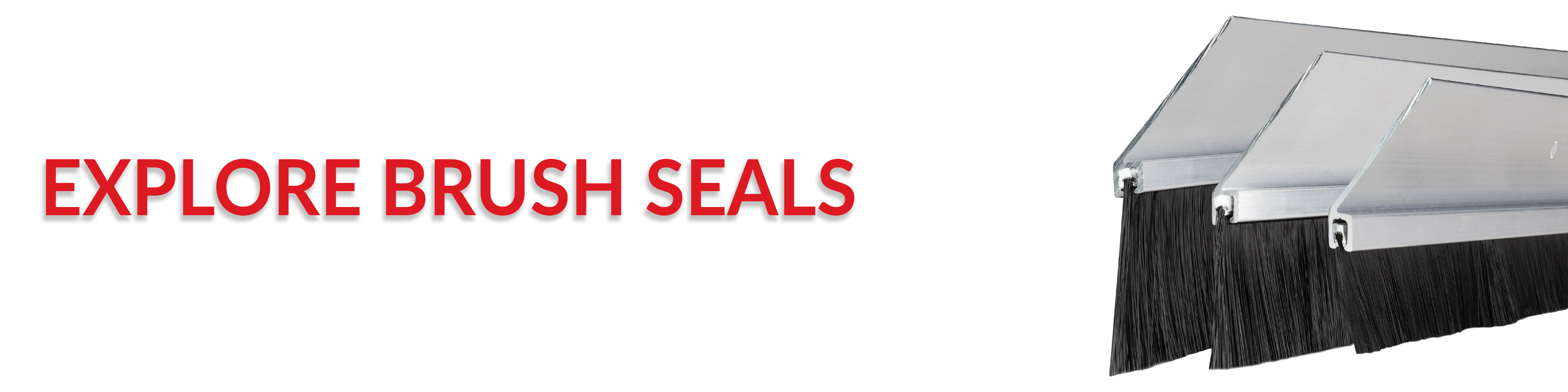 Explore Brush Seals